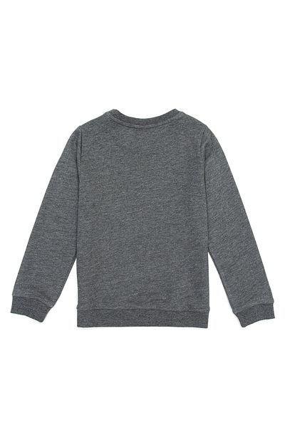 U.S. Polo Assn. Gray Boy's Sweatshirt