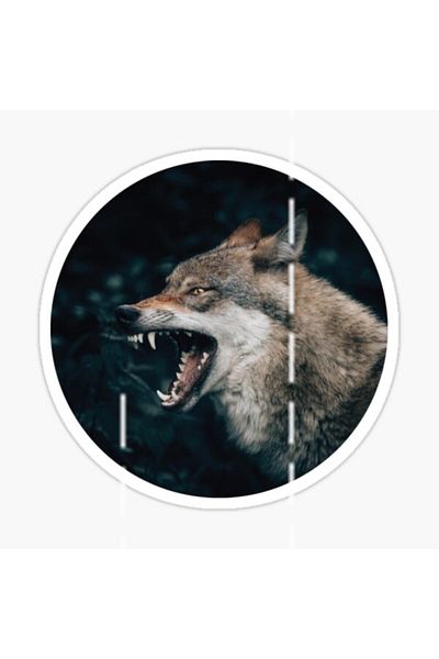 TSC Autocolant pentru mașină Furious Angry Wolf Auto Paste 18cm M2