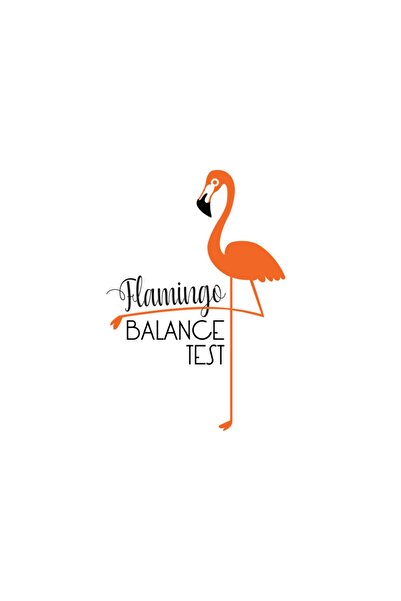 Flamingo Balance Test Flamingo Denge Testi (EFL)