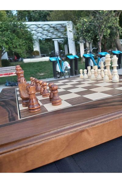 megame Wooden Backgammon Chess with Wooden Sequins - Backgammon Chess Checkers 3 in One Fully Wooden Backgammon