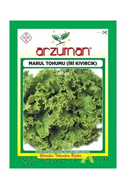 Arzuman Tohum Iri Kıvırcık Marul Tohumu