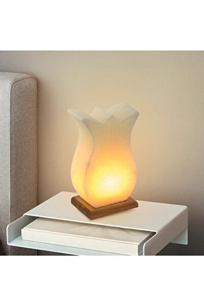 Evci Tuz Doğal Kaya Tuzu Lambası Lale Model Tuz Lambası