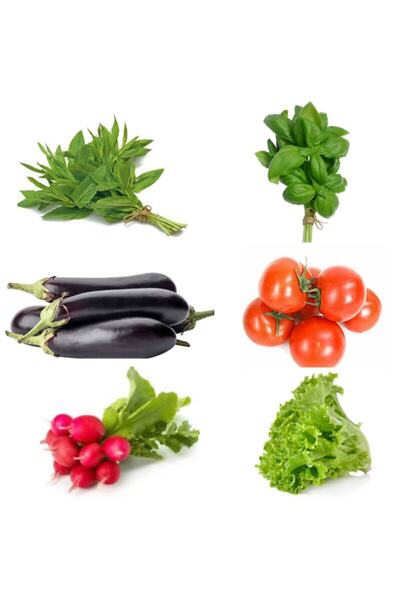 Tohum Dünyam Tohum Seti, 6 Çeşit Sebze Tohumu (nane, Fesleğen, Patlıcan, Doma...