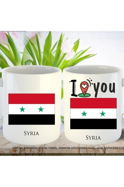 sıradışıhediyem كوب بأعلام بلاد سوريا