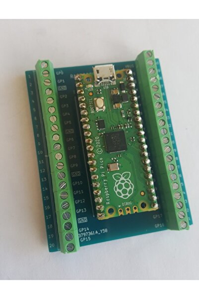 Raspberry Pi Pico Terminal Adaptör Board Vidalı Klemens Soketli
