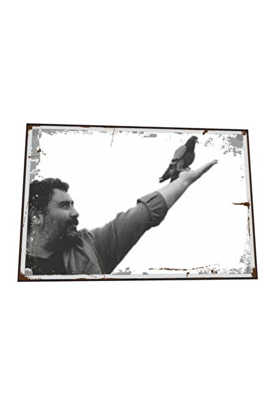 Hayat Poster Ahmet Kaya Elinde Güvercin Retro Ahşap Poster 825