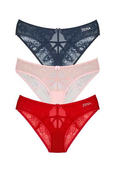 Zena Chiloți de bikini pentru femei din dantelă din 3 piese, cu tul în față și detaliu de frânghie în spate