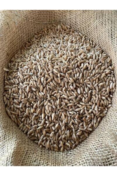 BALAGRO Organik Yemlik Buğday 2 Kg