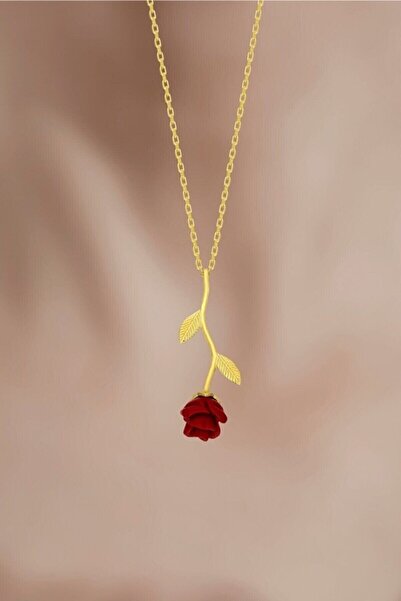 Bilsen Store 925 Ayar Gümüş Zincirli Altın Kaplama Çift Yapraklı Kırmızı Gül ...