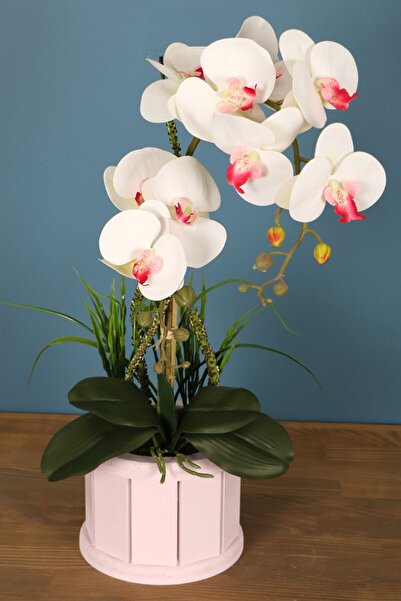 Yapay Çiçek Deposu Oval Renkli Ahşap Saksıda 2li Orkide Aranjmanı Beyaz Pembe