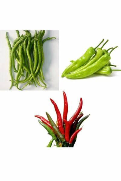 Tohum Dünyam 3 Çeşit Acı Kıl Biber Çarliston Biber ve Süs Biberi Tohumları