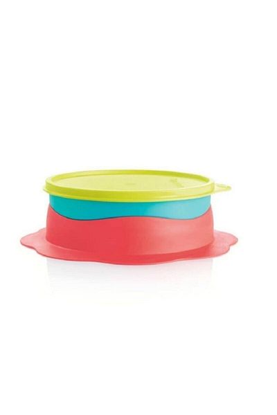 Tupperware My First Plate Food Bowl for Microwave Hsgl