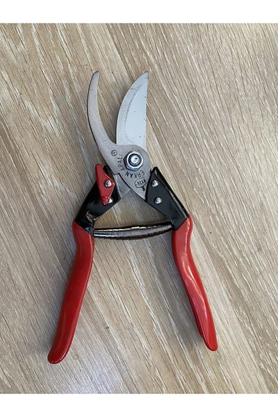 APALI Erkan Vineyard Shears
