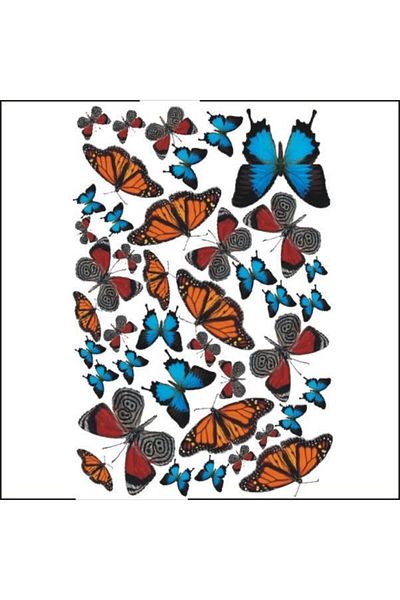 Artebella 943 Μαλακή Μεταφορά 23x34 Εκ