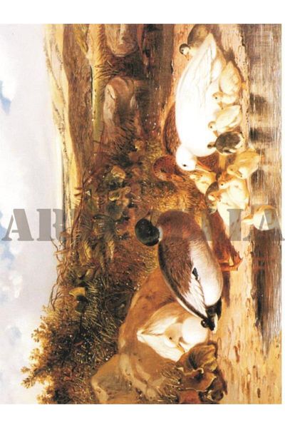 Artebella 1373k Μεγάλη Εύκολη Μεταφορά 23x34 εκ