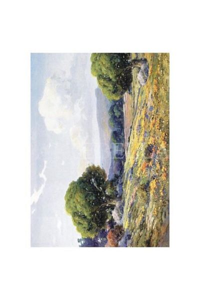 Artebella 1388k Μεγάλη Εύκολη Μεταφορά 23x34 Εκ