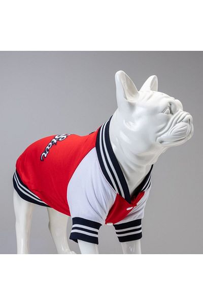 Lindodogs College All Star Small Medium And Large Breed Dog Sweatshirt