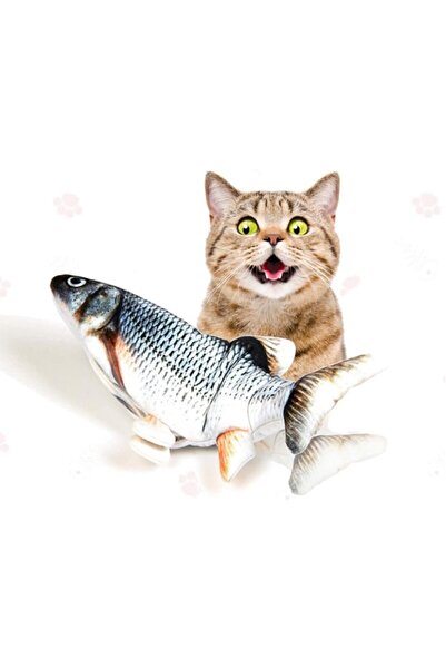 Lion Kedi Oyuncağı Oynayan Haraketli Balık