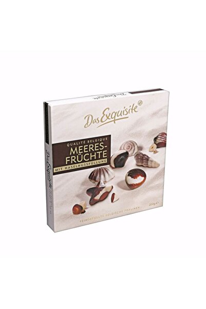 Das Exquisite Kutu Çikolata Deniz Kabukları 250 Gr