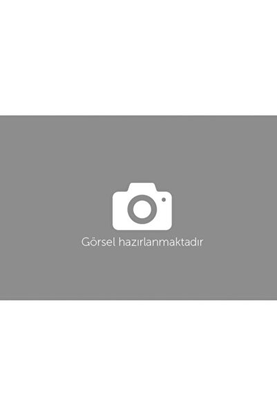Bisan Pasific 125 Gidon Çıkartması Arma