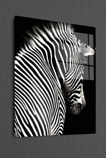 Bourneo Dekoratif Dikey Cam Tablo Zebra