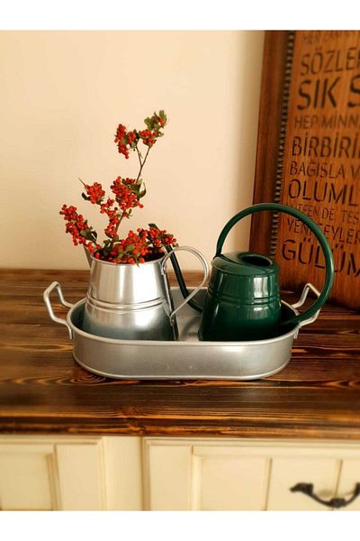 Panoramas Home Galvanized Tray Vase Herbal Vase Triple Set Multi-Purpose