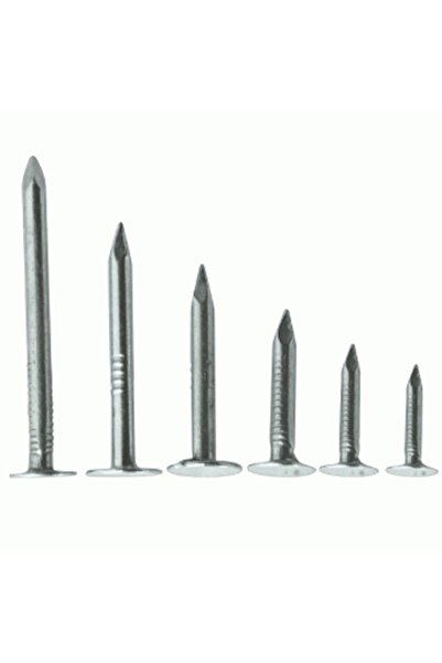 Genel Markalar Şıngıl Çivi 2,5 cm 1 kg