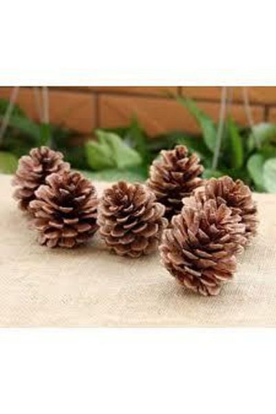 Happyland New Year's Blessings Cone 50 Pieces
