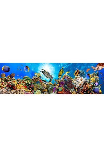 OrhunStore Balık 3 Boyutlu Tek Parça Duvar Kağıdı