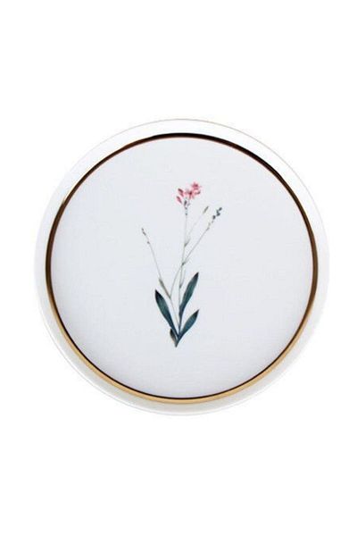 Porland Botanical Pattern4 Flat Plate 18cm 04Alm 005065