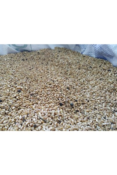 ÇetinZahire Yemlik Kırık Buğday (10 Kg)