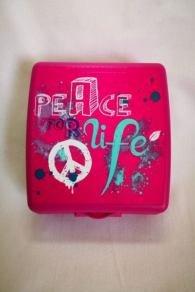 Tupperware Sandwich Box