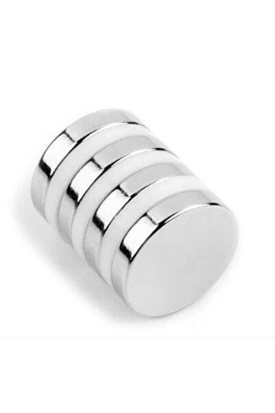 Dünya Magnet Far Temizleyici Neodyum Mıknatıs, 4 Adet 15x3mm Güçlü Far Temizl...