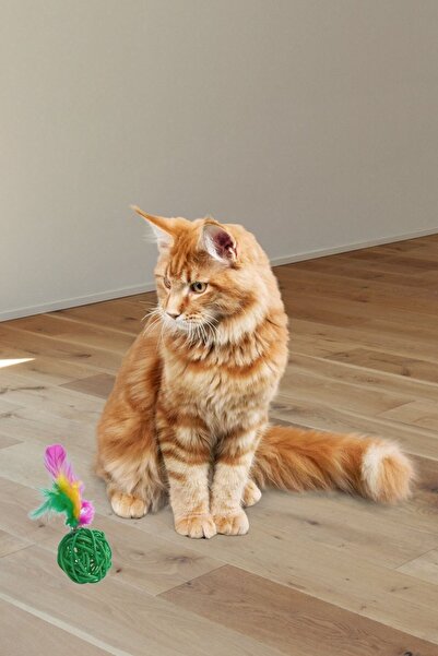 Buffer 2-Piece Rattan Colorful Plush Feather Cat Dog Toy Catching Chewing Rattle Ball Toy