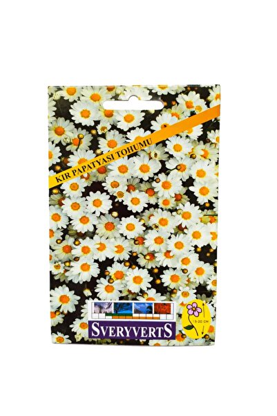 Genel Markalar Birinci Kalite Kır Papatyası Çiçeği Tohumu