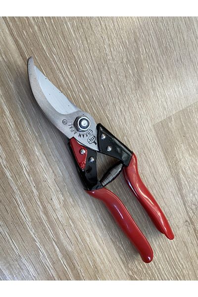APALI Erkan Vineyard Shears