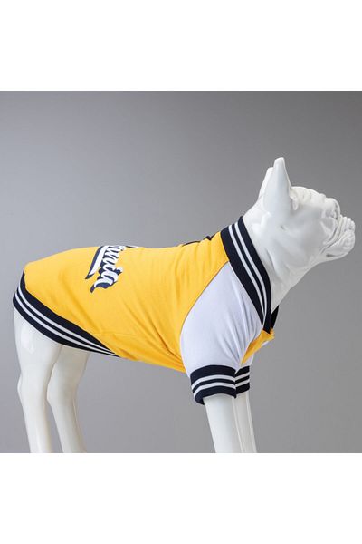 Lindodogs College California Small Medium And Large Breed Dog Sweatshirt