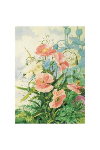 Artebella 1387k Μεγάλη Εύκολη Μεταφορά 23x34 Εκ