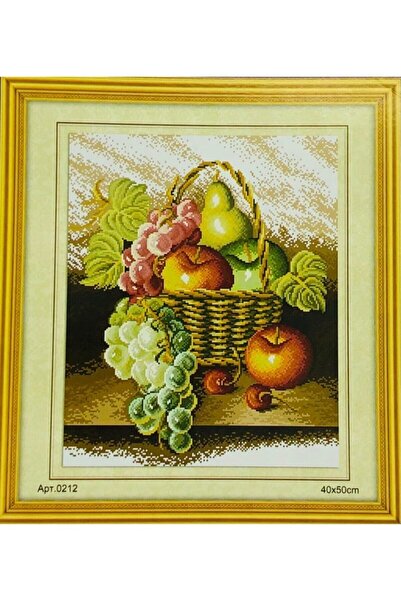 Genel Markalar Goblen Etamin Işleme Seti 40x50 Cm 212