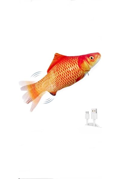 Lion Hareketli Oynayan Balık