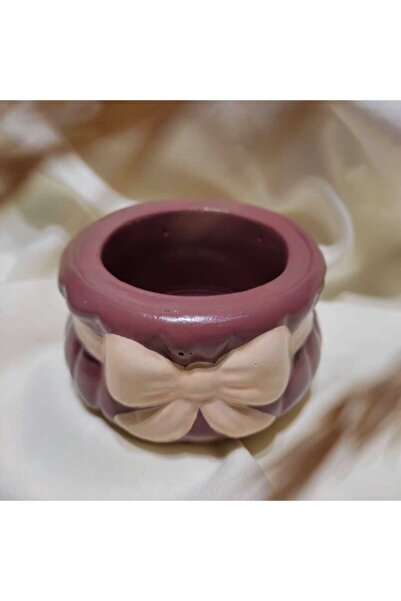 E.M.S AVM Gül Kurusu Kaktüs,sukulent Ve Menekşe Fiyonk Saksı