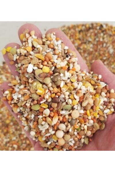 Asenya Güvercin Yemi 10 Kg 10 Karışım Lüks Yem Buğdaysız Güvercin Yemi Karışı...
