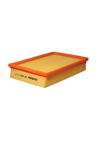 Filtron Air Filter P307 Dw10ated 2.0hdı P206 P307 C4 Vts Ew10j4s 02-