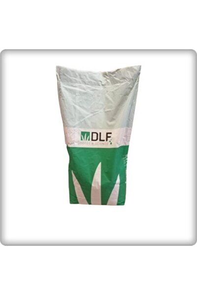 DLF Fare Kulağı Tohumu-( 250 gr )-dichondra Repens