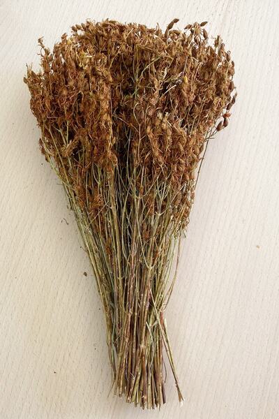 aktarix 3 Adet Sarı Kantaron Otu Bağ