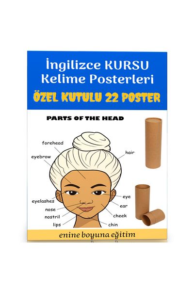 Enine Boyuna Eğitim English Course Vocabulary Posters (22 Posters) - Transverse Longitudinal Training