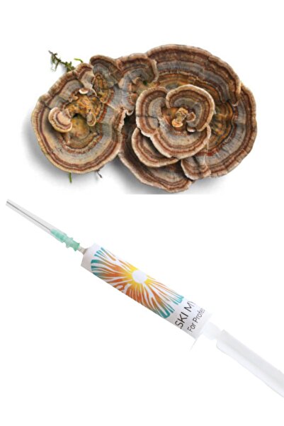 Polski Mycelium Hindi Kuyruğu Mantarı Sıvı Miseli 5 ml Mantar Tohumu Miseli v...