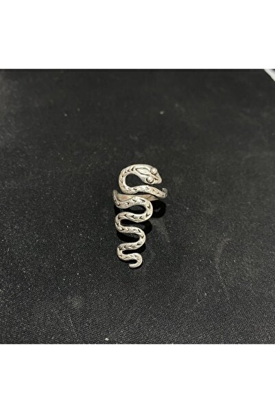 facnspt Favoriconsept - خاتم الثعبان