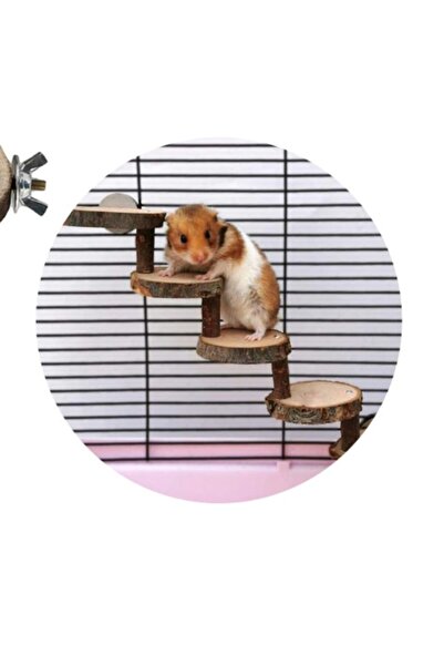 UniqBirdToys Wooden Hamster and Bird Ladder
