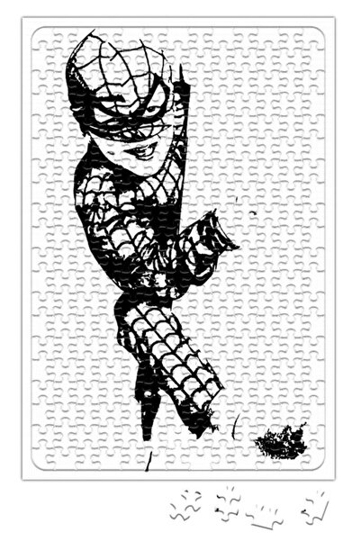 Baskı Dükkanı لغز سبايدر بوي 240 قطعة بانوراما